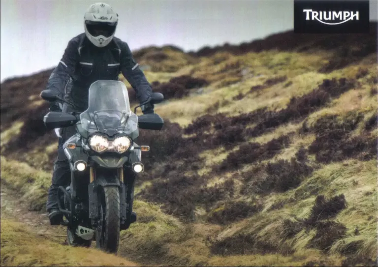 La nuova gamma Triumph in una collezione di cartoline sul circuito Ambient Media — foto 4