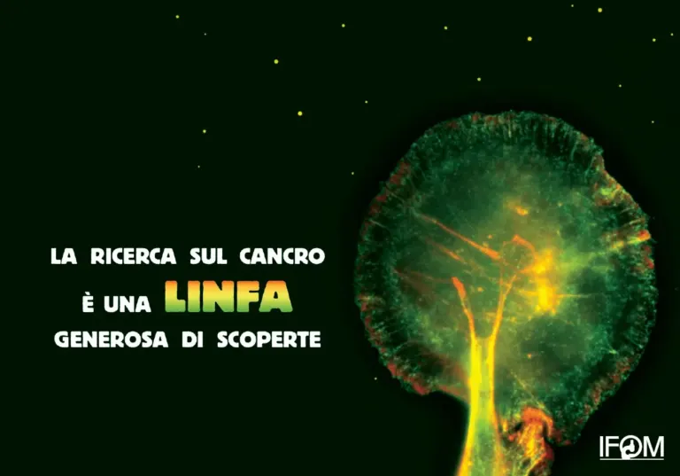 La campagna 5x1000 di IFOM sulle cartoline pubblicitarie Ambient Media — foto 2