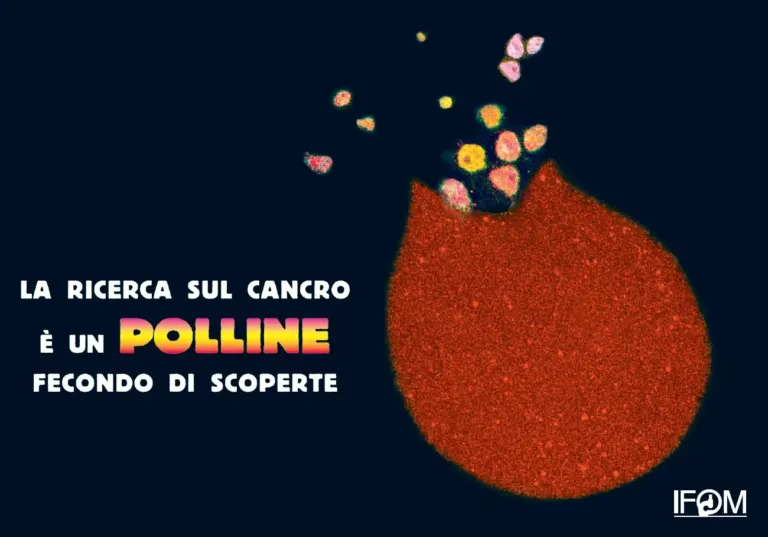 La campagna 5x1000 di IFOM sulle cartoline pubblicitarie Ambient Media — foto 1